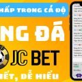 Cách chấp trong cá độ bóng đá